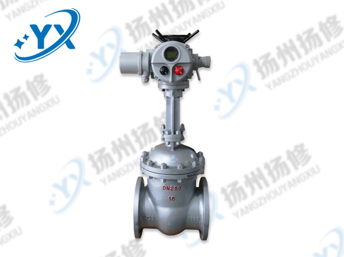 Z941H-16C DN250成套電動閘閥